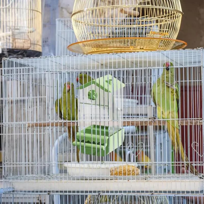 Mangiatoia per uccelli Contenitore automatico per alimenti per uccelli Contenitore per alimenti per piccioncini Forniture per alimentazione a prova di spruzzi per pappagalli di calopsitte