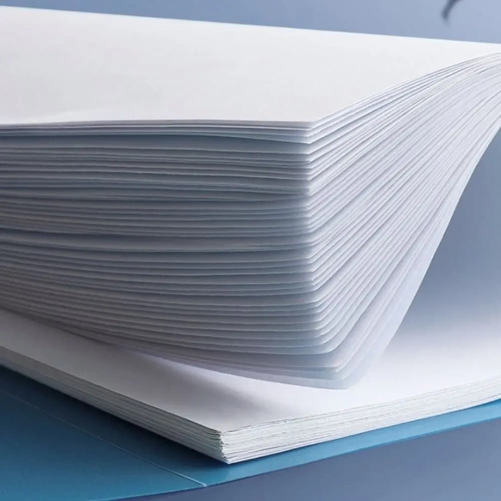 Portadocumenti per Studenti, Clip per Fogli Sciolti, Raccoglitore A4, Cartella Portadocumenti, Clip per Appunti, Organizzatore di Documenti
