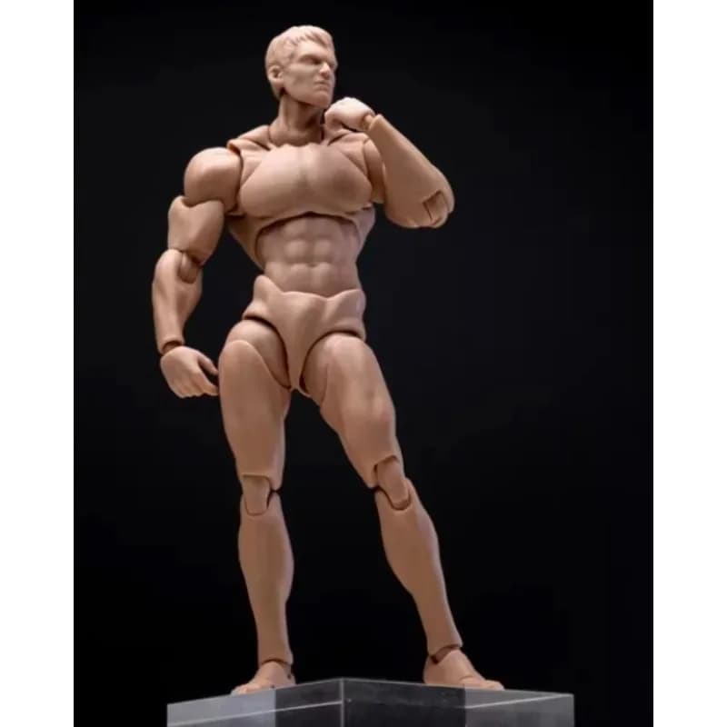 Wind Toys 1/12 Scale 16cm Doll Model Male Action Figure Muscle Strong Super Flexible Joint Body with Head Sculpt Model