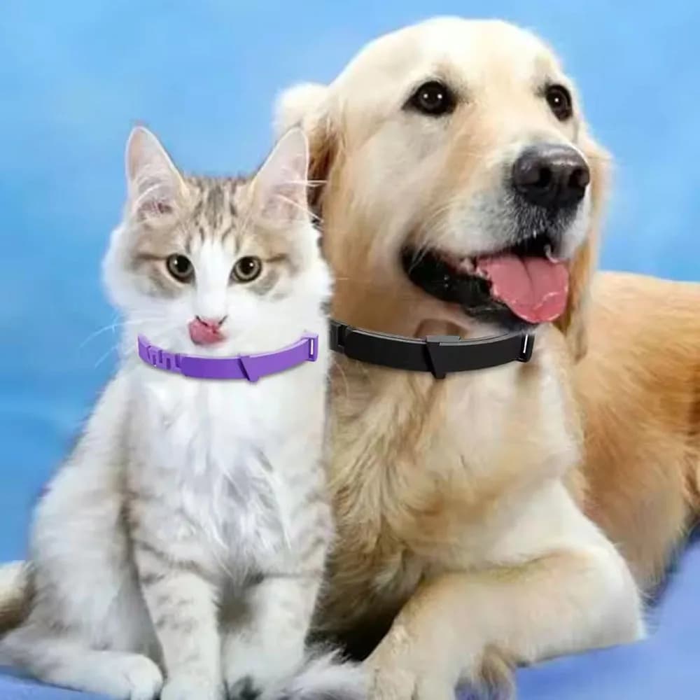 Adjustable Plastic Dog Collar Waterproof Cat Puppy Collars 70 cm 38 cm cat collar for small dogs medium size large Supplies for pets
