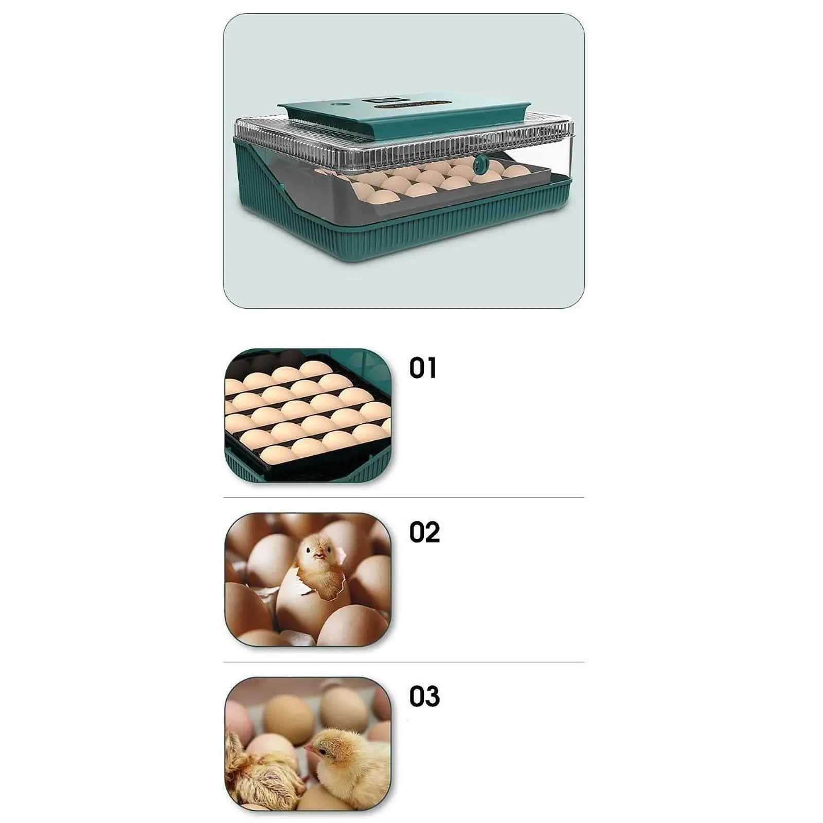 Digital ABS PET incubator with Automatic Temperature Control for Incubation and Inspection of Chicken Eggs, Anatra, Oca and Quail