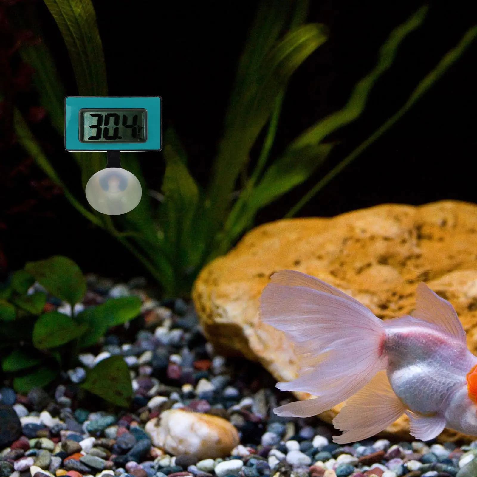 Termometro Elettronico per Acquario, Impermeabile in ABS, Monitor Digitale della Temperatura per Terrari e Acquari con Ventosa