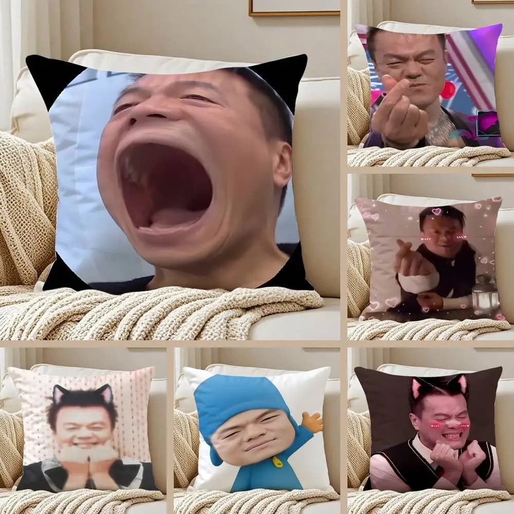 P-Park J-Jin-Y-Young Divertente Meme Federa per cuscino Divano letto con cerniera invisibile anti-polvere