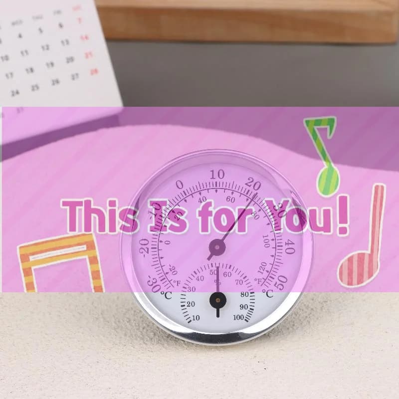 【HMA】1Pcs Street Thermometers Thermo-hygrometer Measuring Instruments Tool For Home Supply Mini Pointer Thermometers Hygrometer