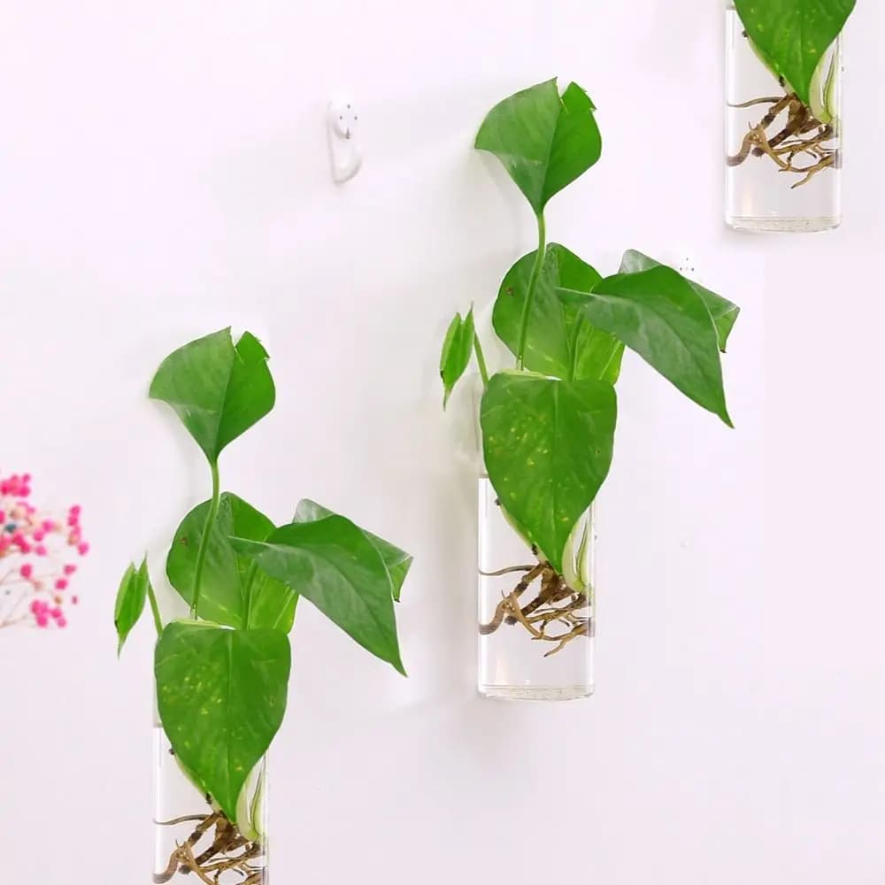 Hydroponic Plants Glass Crafts Irregular Shape Fish Tank Wall-mounted Flower Pot Hydroponic Vase Flower Vase Plant Container