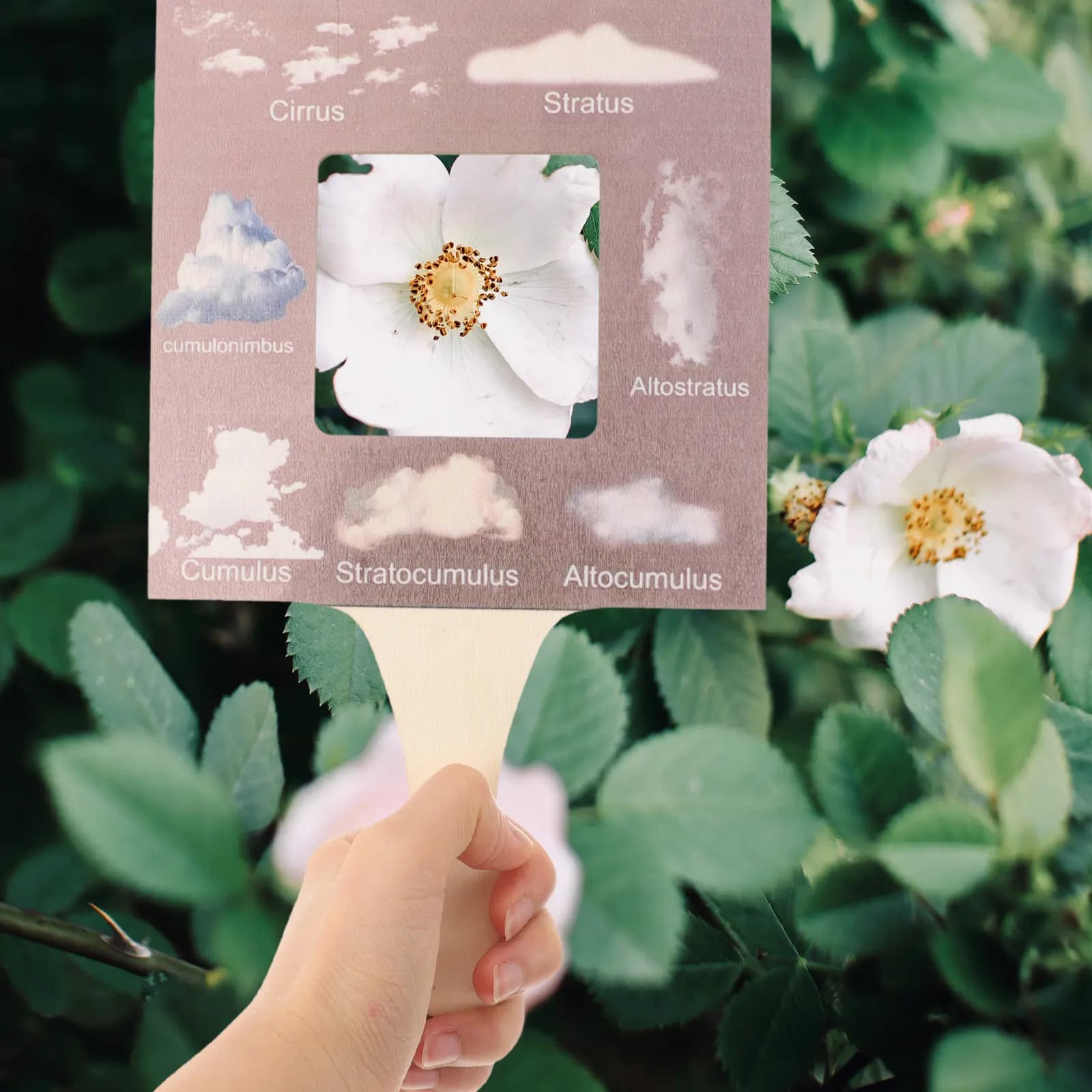 Guide Educational Observation Display Skylight Photo Catcher Nature Exploration Finder Viewer Toy Kid Outdoor Tool