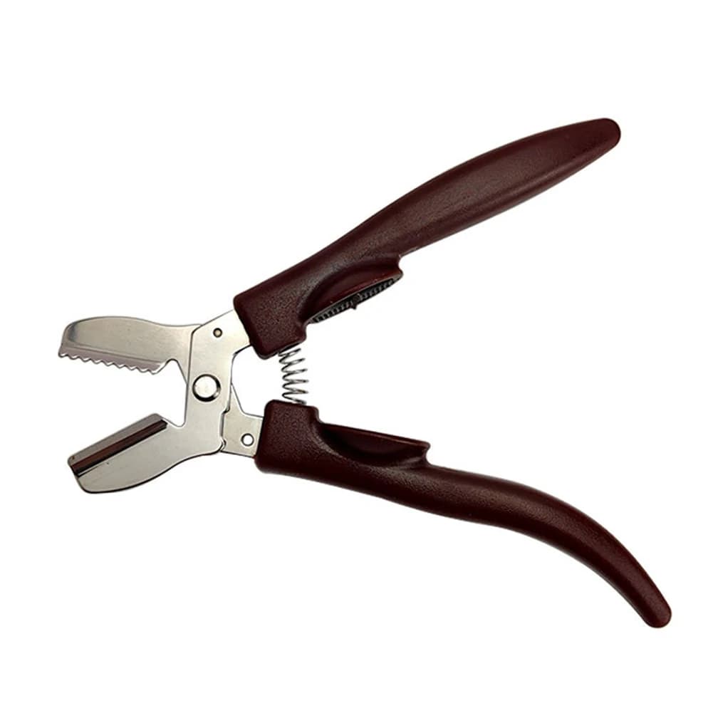 Utensile manuale per taglierina per frutta secca con clip per castagne da cucina, schiaccianoci portatile, apri croce seghettato, lama in acciaio inossidabile