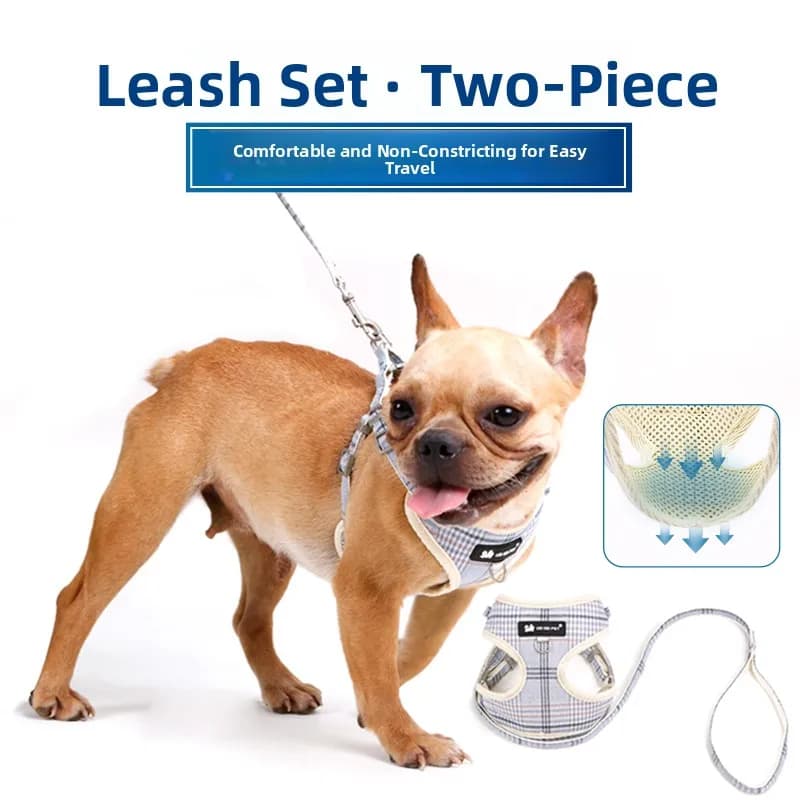 Guinzaglio per cani DODOPET a forma di gilet per razze piccole e medie come Teddy e Chihuahua, corda per passeggiate in nylon non estensibile