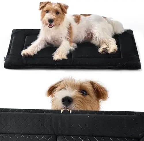Cuccia per cani Bedsure Chew-Proof, taglia media - Lavabile in lavatrice e resistente, materassino per cani, nero