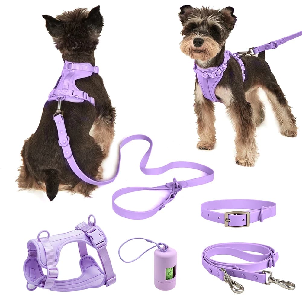 Set Guinzaglio e Pettorina per Cani Piccoli e Grandi - Traspirante in Tessuto PVC, Sportivo e alla Moda - Resistente e Regolabile
