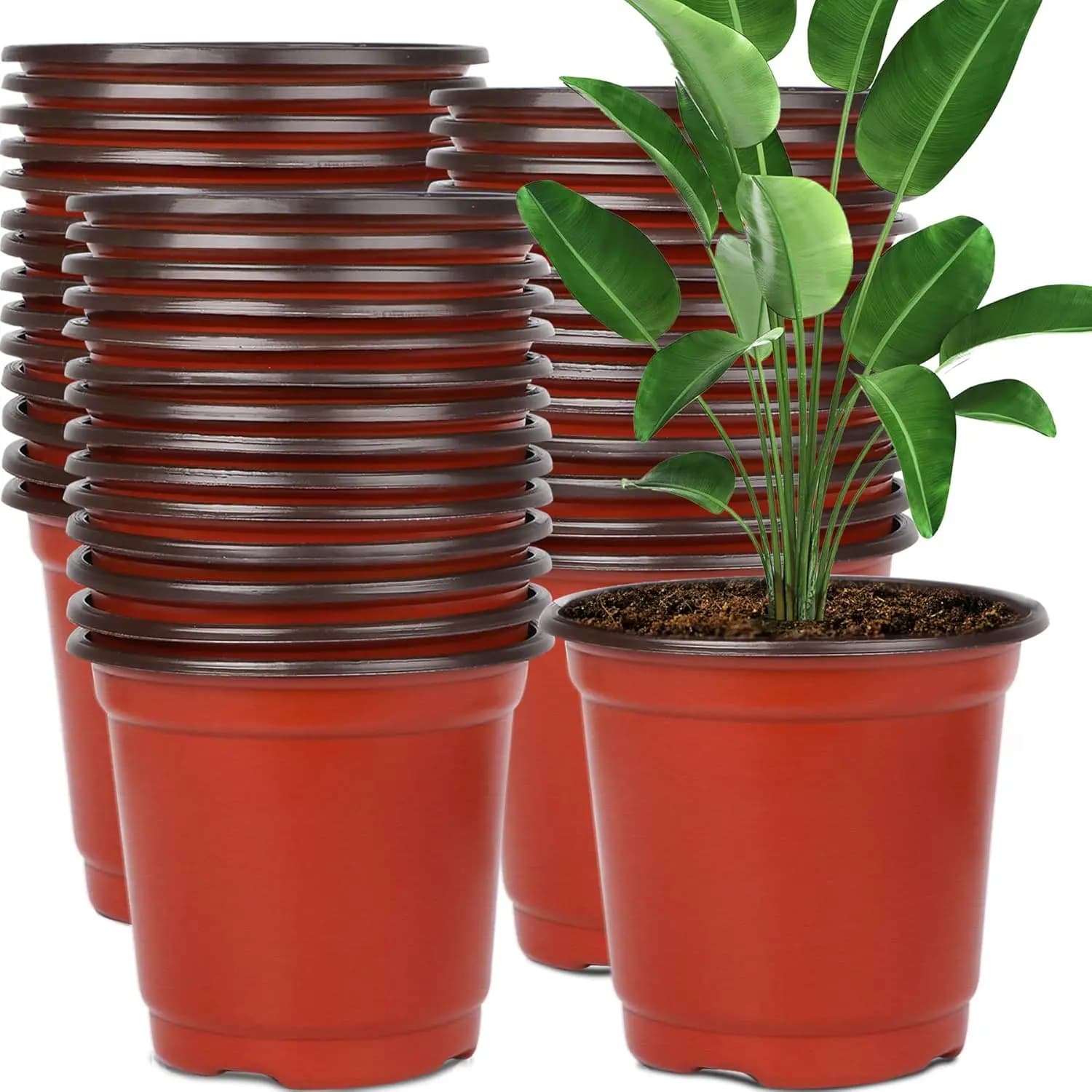 130 Packs of 6 Inch Plastic Vases for Plants, Containers for Seeds, Flowers, Succulent, Plants and Coats