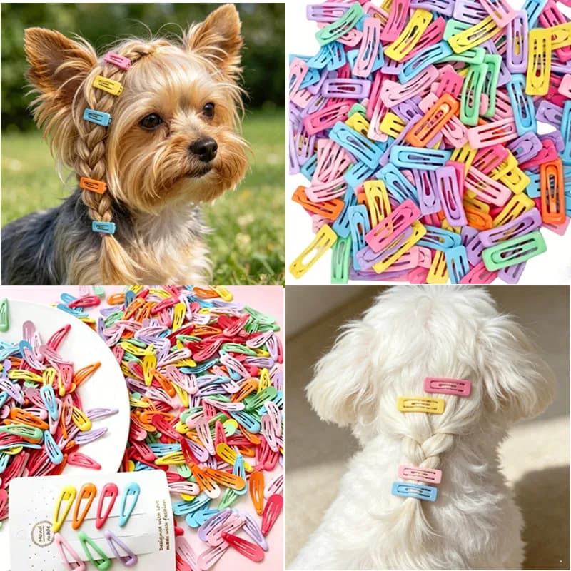 Colorful Pet Hair Clips Mini Plastic Dog Cat Hairpins Cute Barrette Accessories for Small Dogs Cats Grooming 10pcs