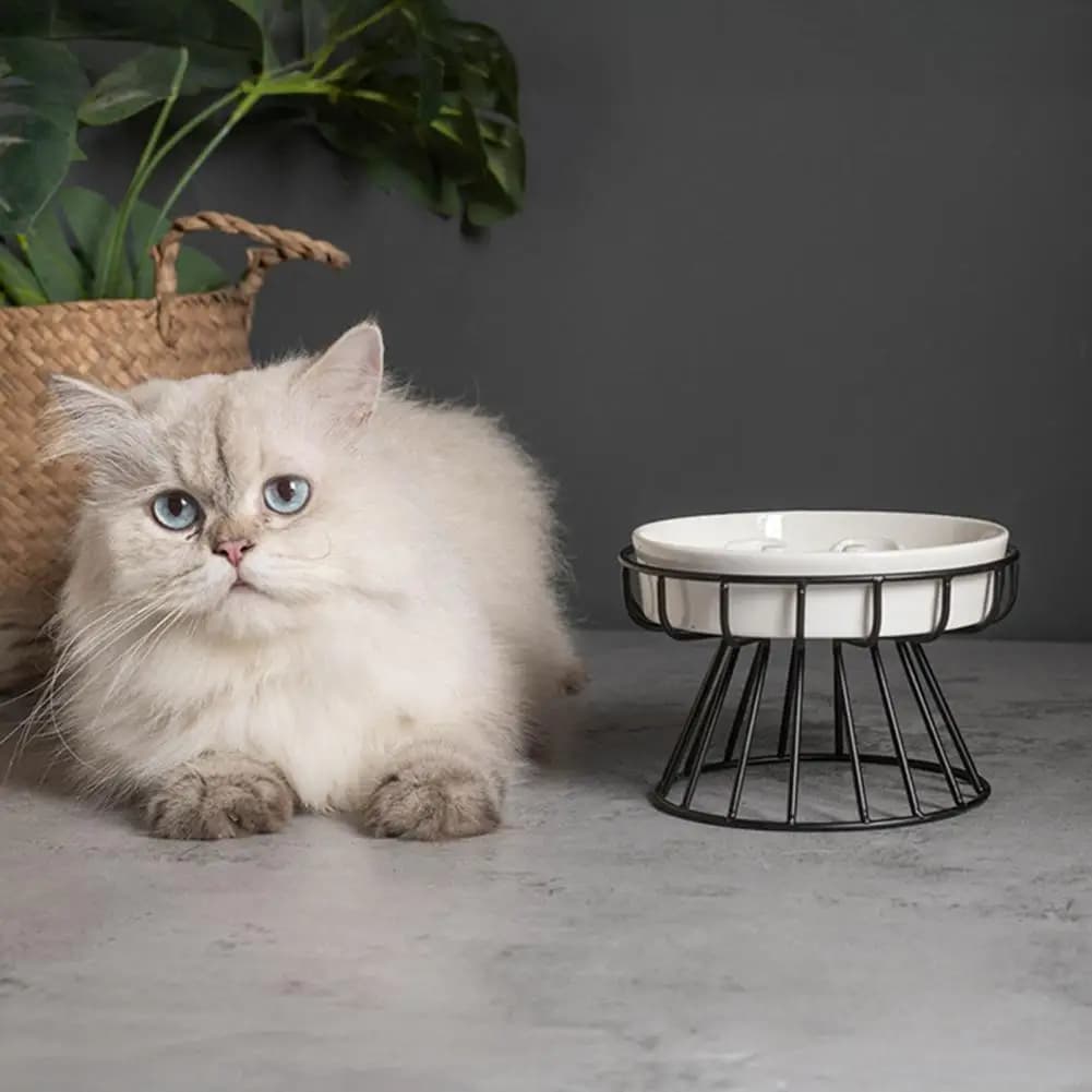 Elevated Feeding Station for Pets Elevated Ceramic Slow Feeder Dog Bowl with Stand Raised Pet Food Dish for Cats Dogs