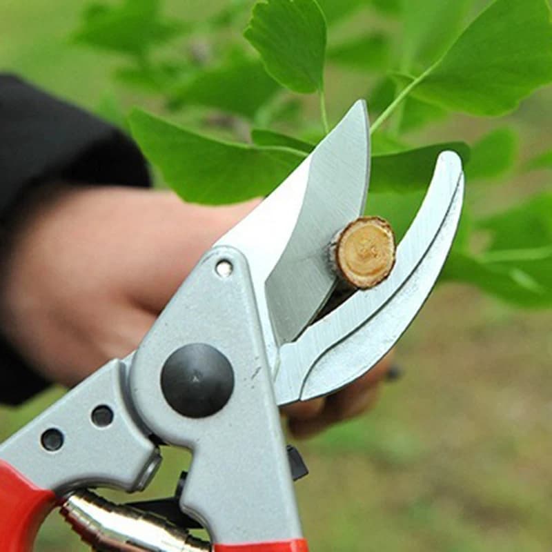 Garden Pruning Shears Adjustable Gardening Scissors Fruit Trees Thick Branch Shears Portable Labor-saving Bonsai Pruning Tools