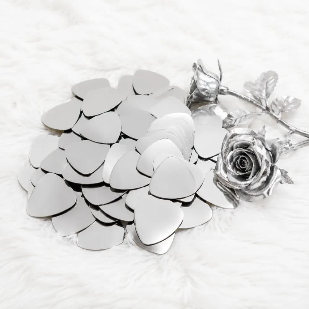 12pcsSmooth Stainless Steel Blank Guitar Picks Metal Plectrum with Storage Case Player DIY Gift YMY
