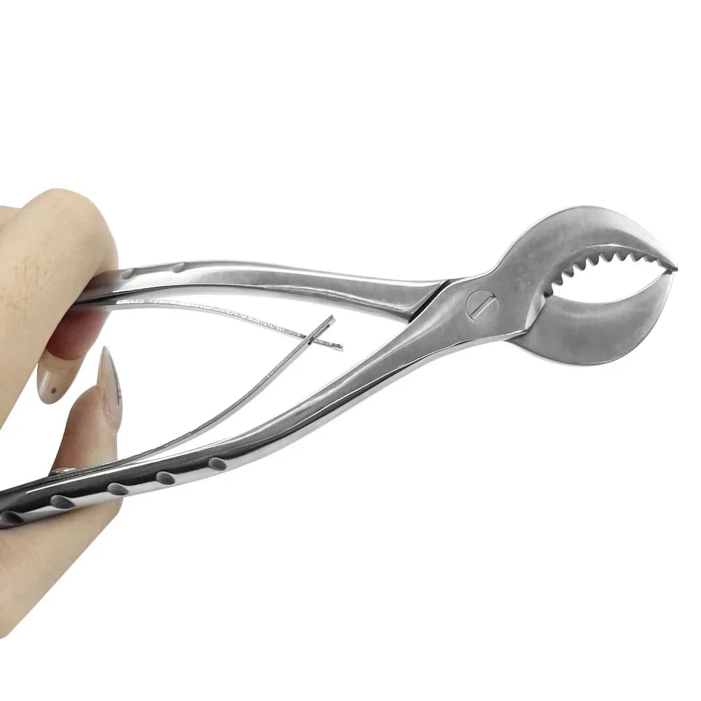 1 Pcs Gypsum Scissors, Stainless Steel Clips of Various Sizes, Laboratory Instruments Best Toolss