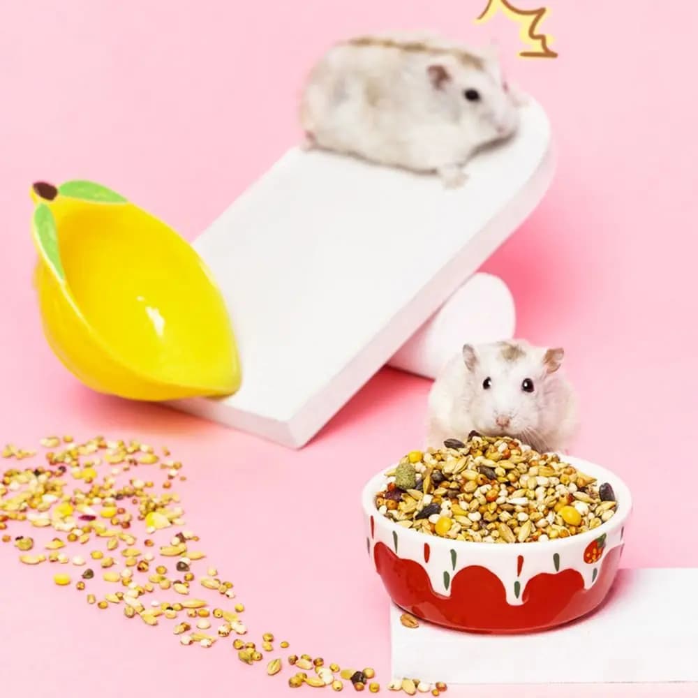 Hedgehog Ferret Gerbil Chinchilla Ceramic Feeding Pet Supplies Hamster Bowl Water Drinker Food Dish