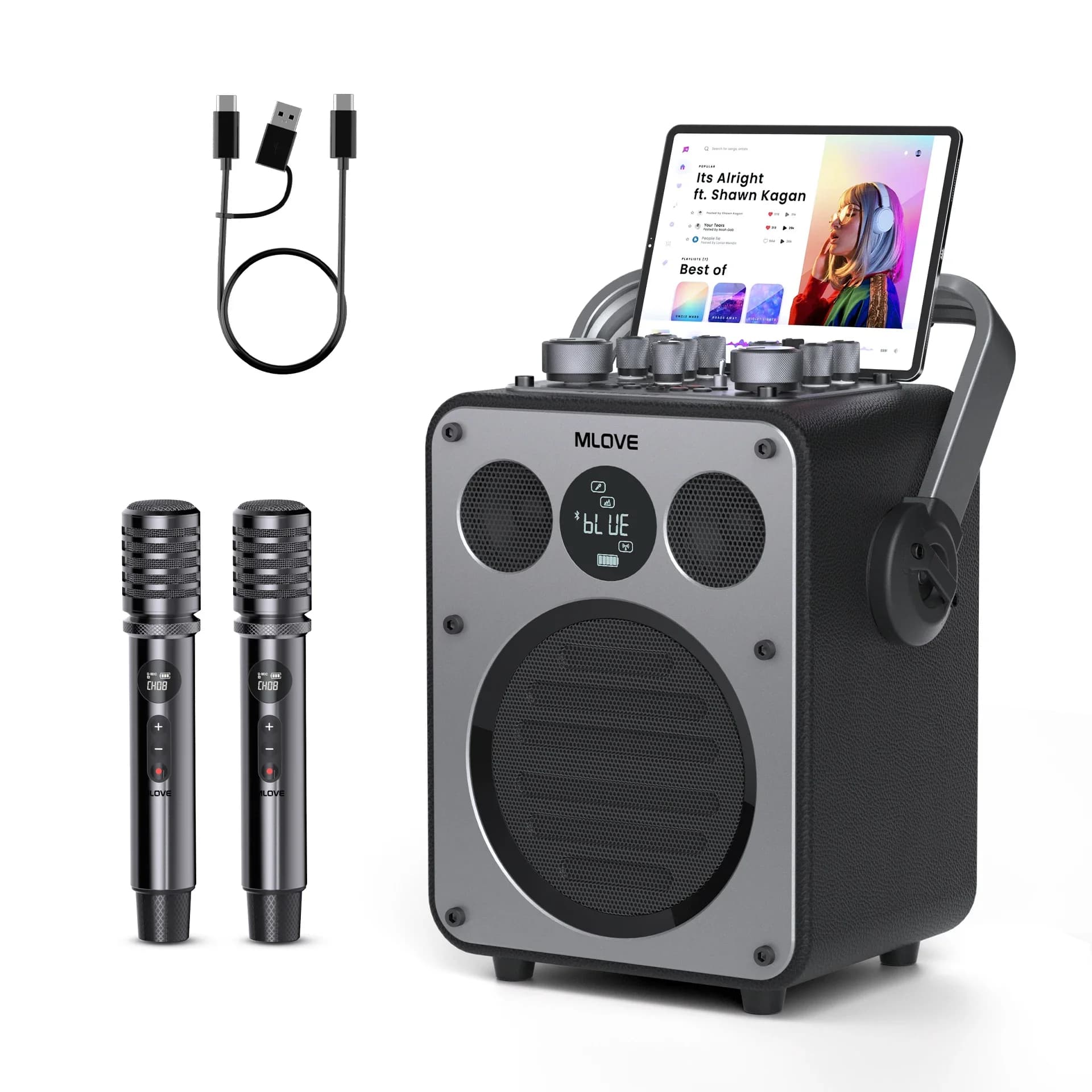 Macchina karaoke professionale MLOVE D5 per adulti con Bluetooth e 2 microfoni wireless, altoparlante portatile per sistema PA, registrazione