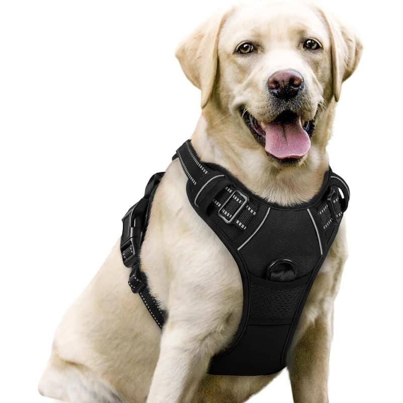 Dog Harness No Pull with 2 Leash Clips Adjustable Soft Padded Reflective Oxford No Choke Pet Vest with Easy Control Handle