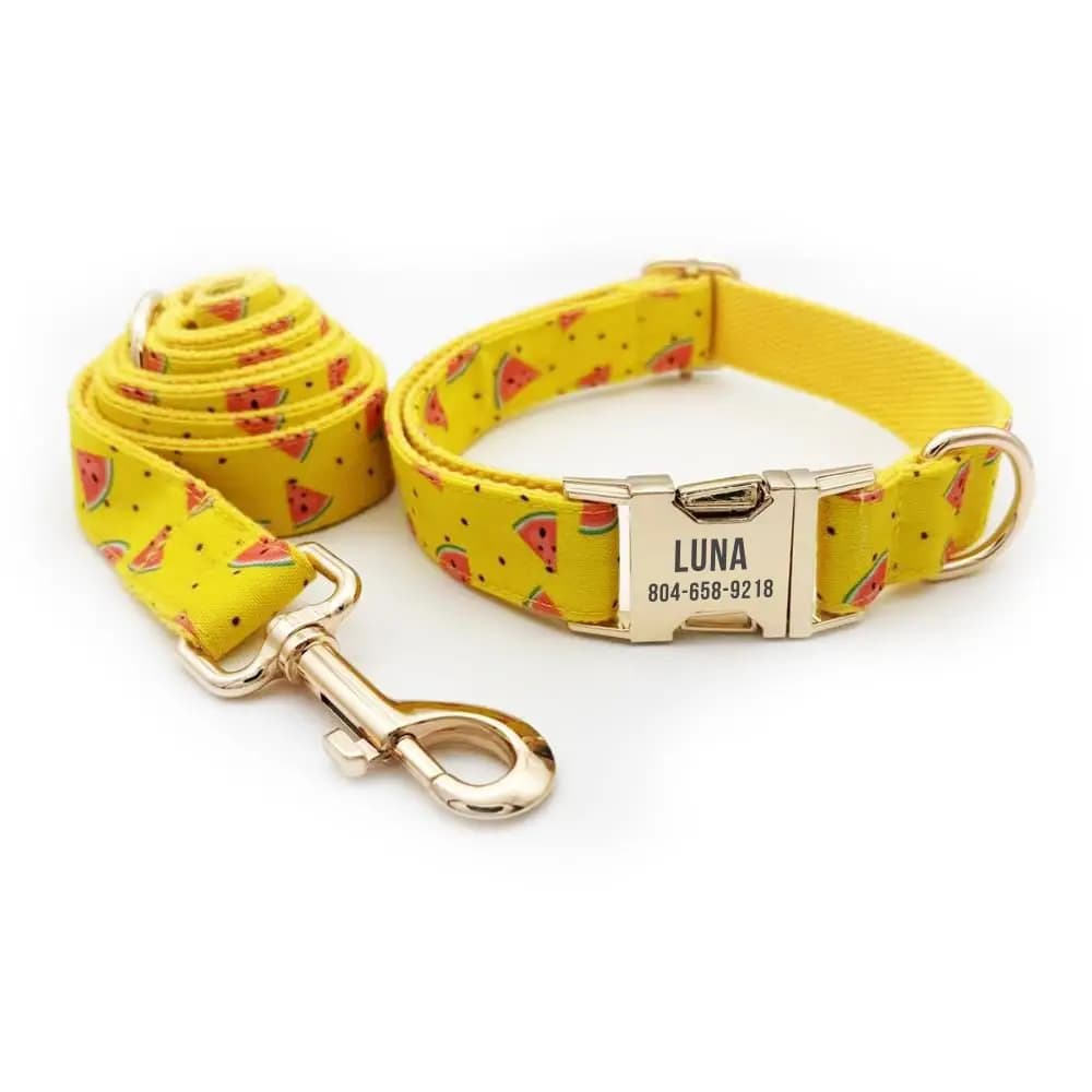 Collare per cani giallo anguria personalizzato Fibbia identificativa per cuccioli personalizzata Collari per cani di base regolabili, guinzaglio abbinato disponibile