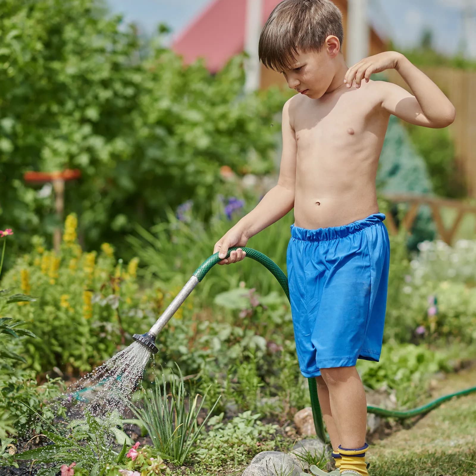 1Set Brass Hose Connectors Fittings Barb Splicer with Stainless Steel Clamps for Home Garden Use Hose Connector