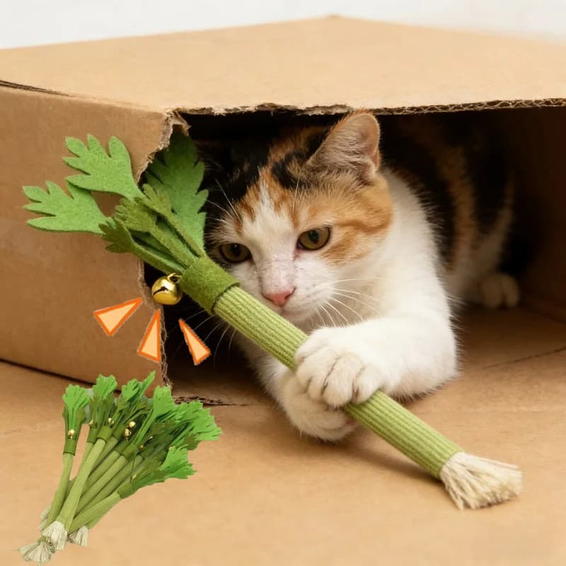 Chewing toys for cats Toy for cleaning cat teeth with cat Toy interactive for cleaning cat teeth with cat Toys for clamping cat toy for cats