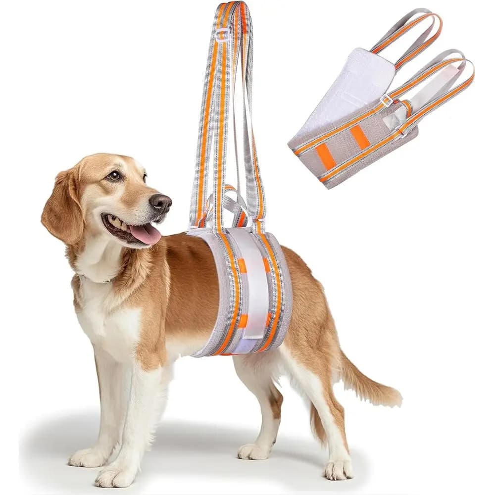 Imbracatura di supporto per cani media per la debolezza delle gambe posteriori, ideale per anziani, ferito, chirurgia post-ACL, 25-70 libbre