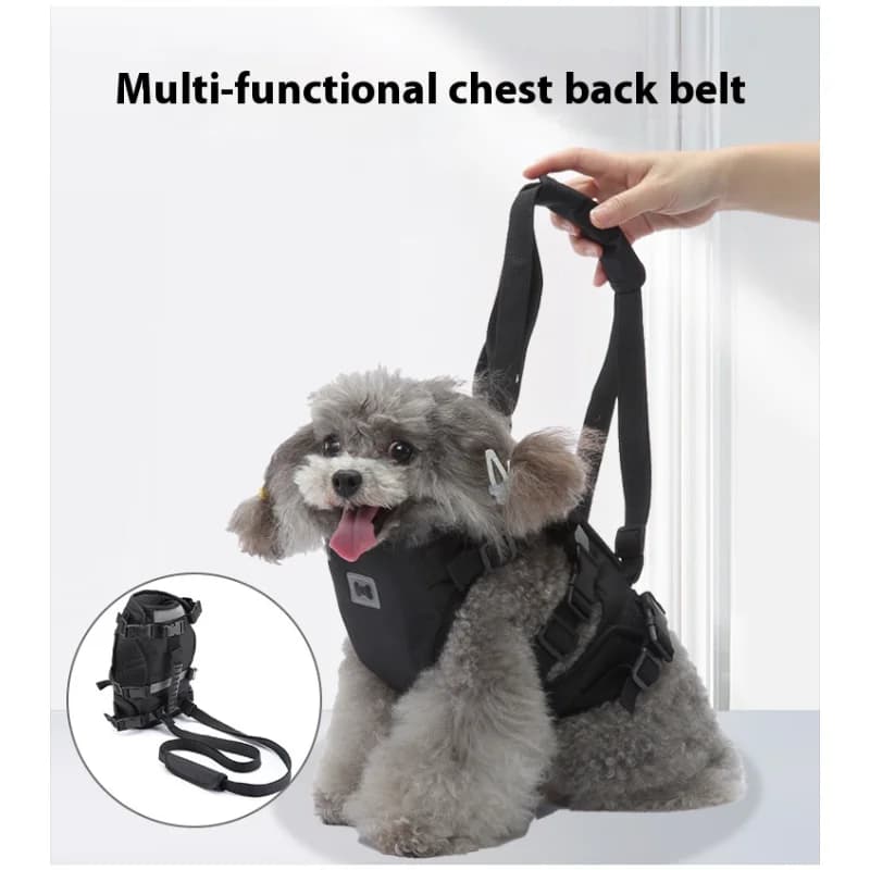 Guinzaglio multifunzione per cani – Imbracatura per auto/scale con fascia toracica