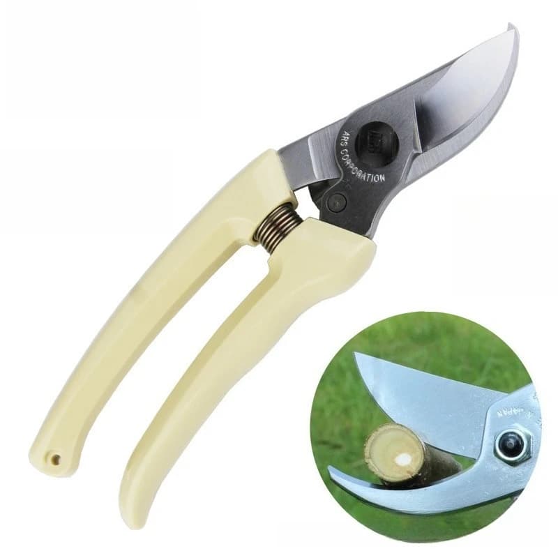 130DX Power Scissors for Fruit and Fruit Trees, Gardening and Power Tools