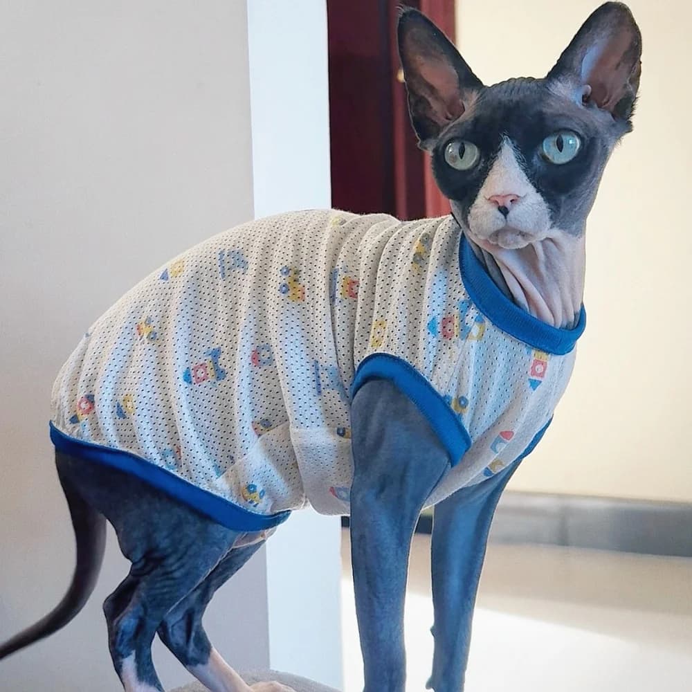 Gilet estivo in rete blu per gatti Sphynx, sottile e traspirante, senza maniche, alla moda, rinfrescante, pigiama per Devon Rex