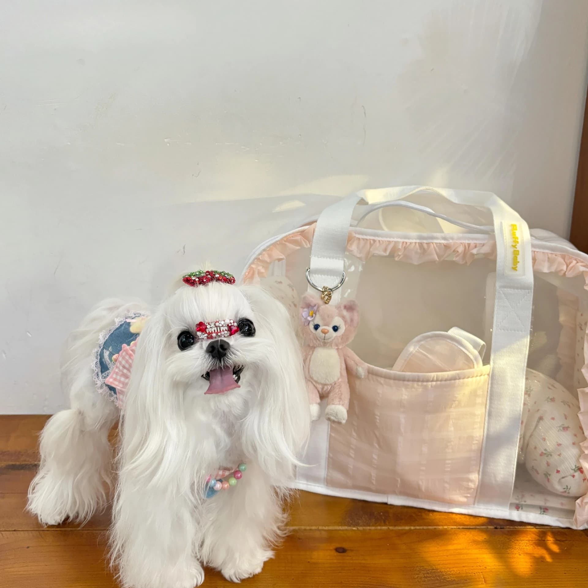 Summer Pet Bag Portable Mesh Breathable Crossbody Bag Cat Backpack Carrier Transporte Pet