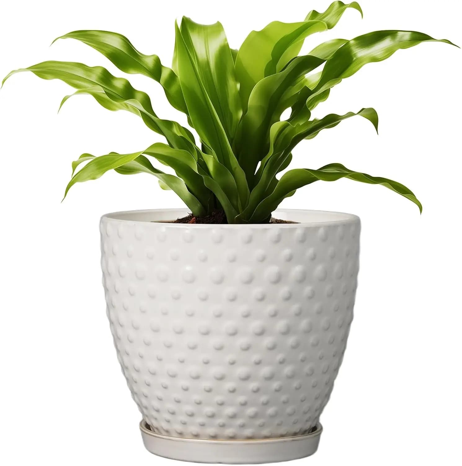 8 Inch Ceramic Vase with drainage and underwater hole, Modern White Vase for Indoor and Exterior Plants