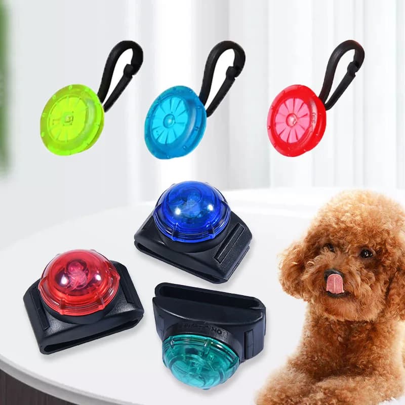 Collare luminoso a LED per cani e gatti, luce di sicurezza per giocattoli, segnalatore luminoso notturno da esterno, anti-smarrimento, impermeabile