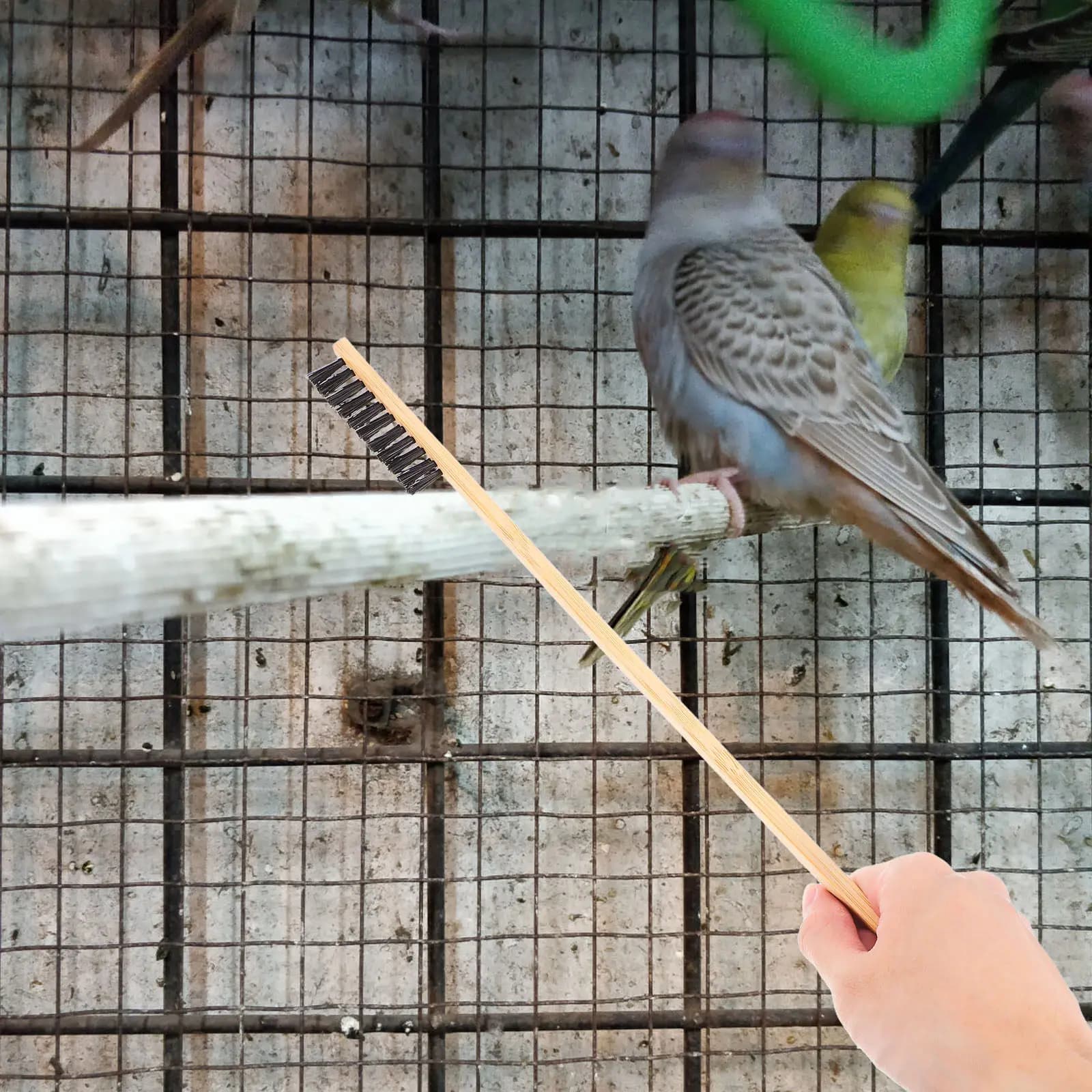 2Pcs Bird Cage Cleaning Brush Set Efficient Droppings Cleaner Wood Stainless Steel Small Animal Cage Cleaning Tools