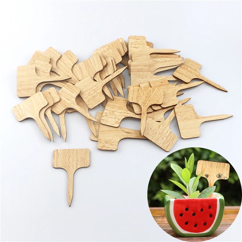 Labels for Plants Type T Labels for Herbal Seeds in Vase Flowers Vegetables Waterproof Signs 2024