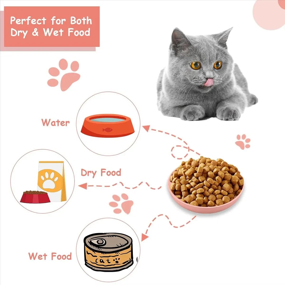 2026 + Ciotola per gatti con baffo da 6 pezzi - Piatto per cibo per gatti poco profondo da 5,5 pollici Ciotole larghe per gatti bagnate, Piatto in PET per gattini