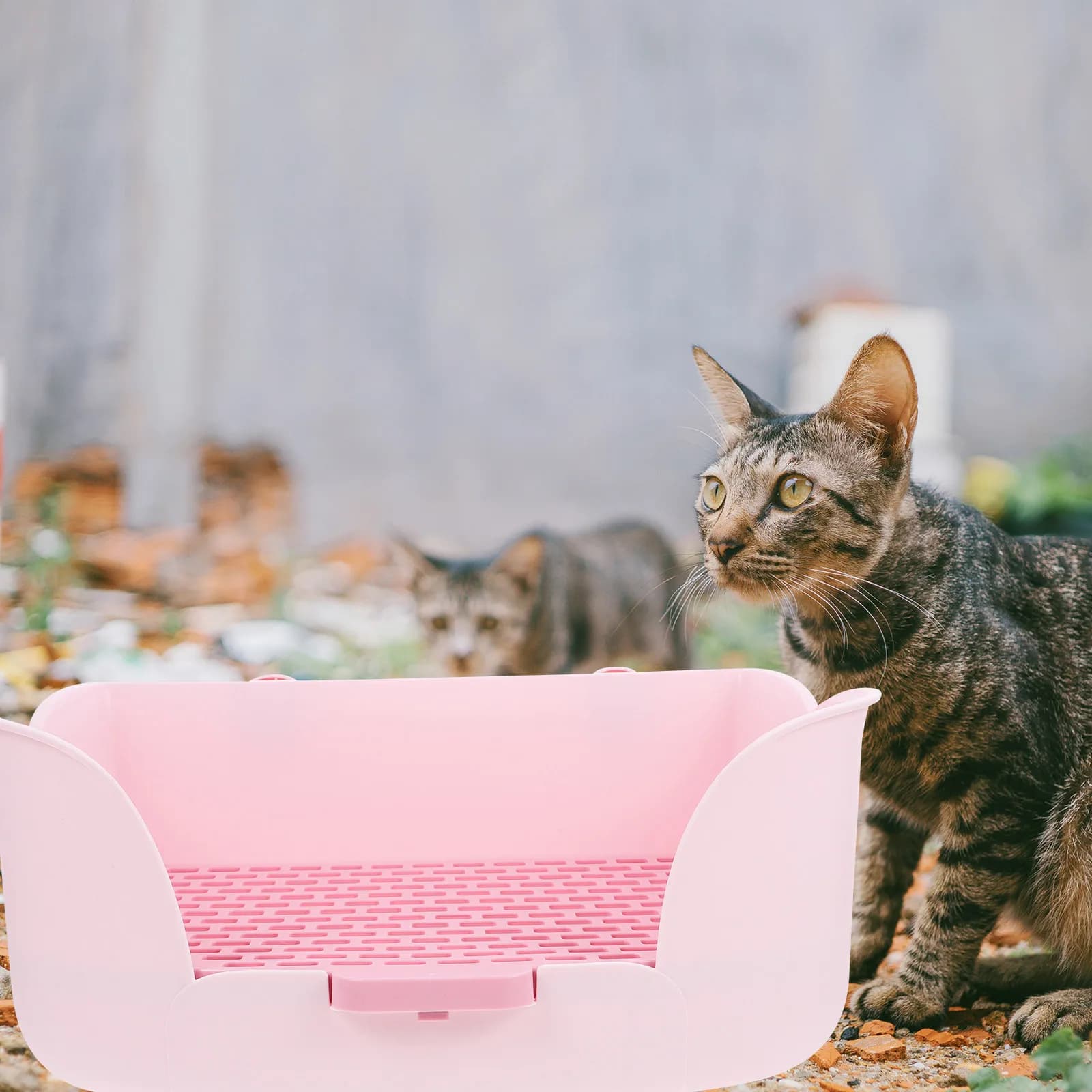 Pet Litter Basin Small Animal Potty Bunny Training Toilet Household Pan Plastic Cat Rabbit Cage Supply Toilet Bunny Toilets