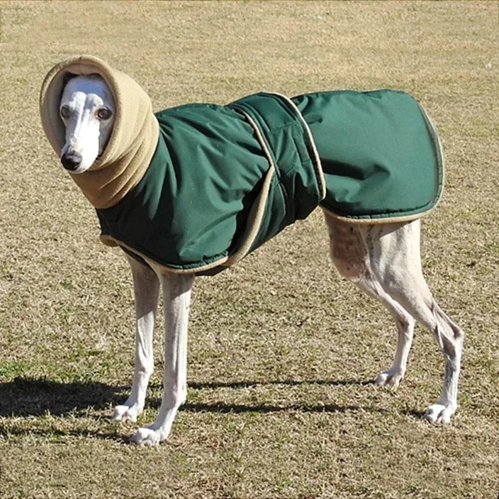 Cappotto Invernale per Cani Stile Casual Antivento, Giacca Calda con Collo Alto e Blocchi di Colore, Tuta Invernale per Cani con Cinghie Regolabili e Imbottitura Spessa