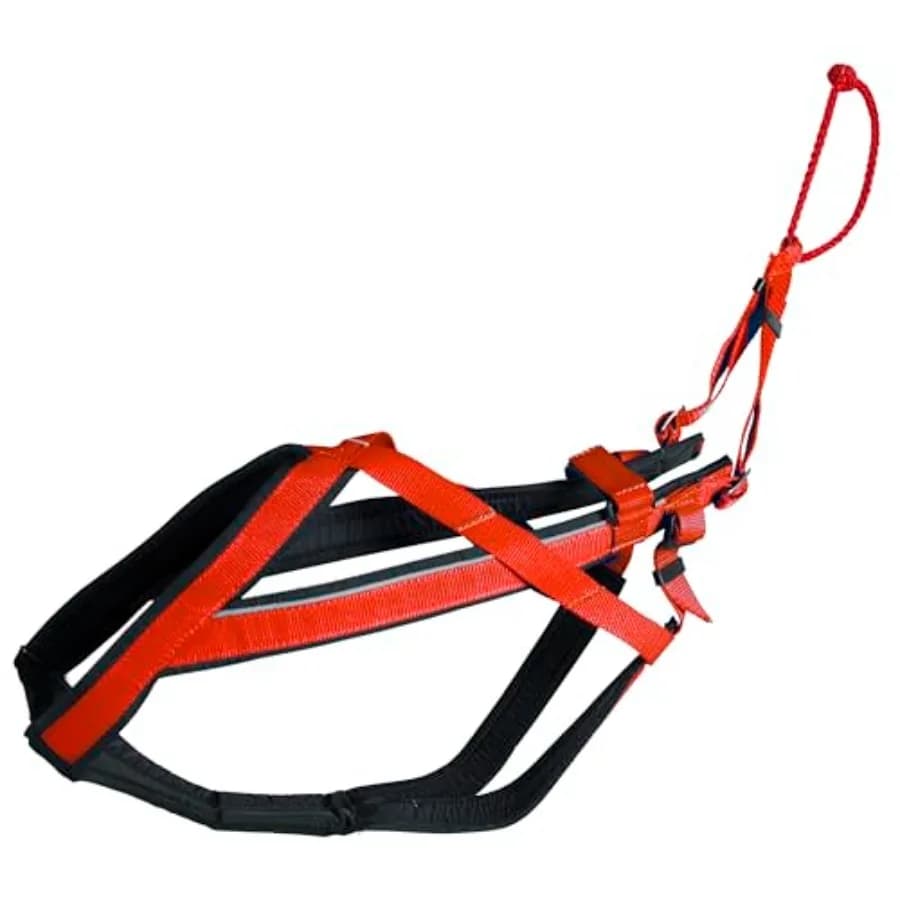 Imbracatura da Corsa Regolabile Grande, Rossa - Ideale per il traino di cani con bici, skateboard, rollerblade, carrello, canicross