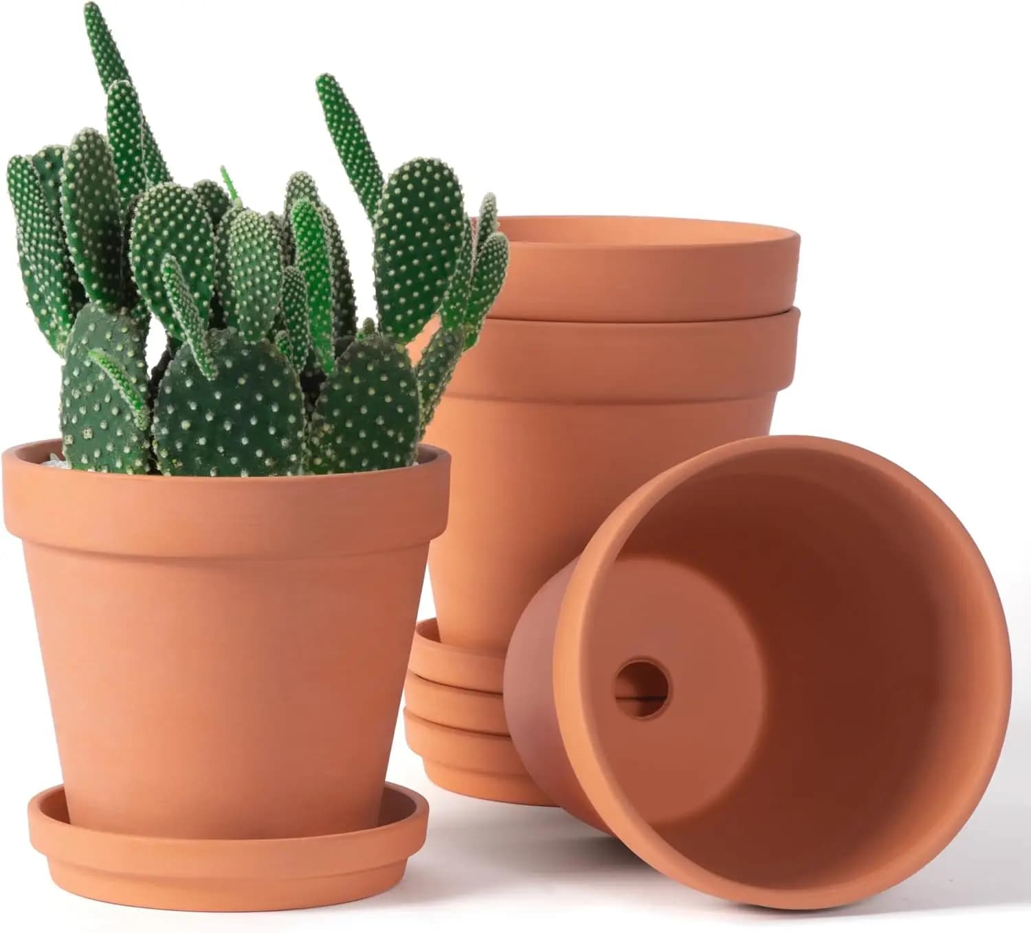 Set di 4 Vasi in Terracotta da 6 Pollici con Sottovaso e Foro di Drenaggio, per Piante da Interno ed Esterno