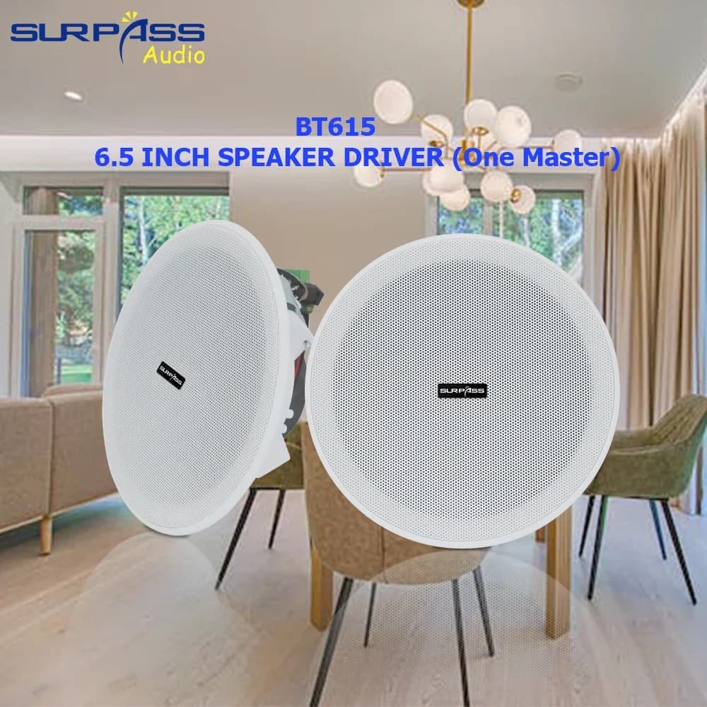 Sistema Audio domestico altoparlante da soffitto attivo Bluetooth da 6.5 pollici 15W amplificatore di classe D integrato altoparlante in materiale ABS per bagno
