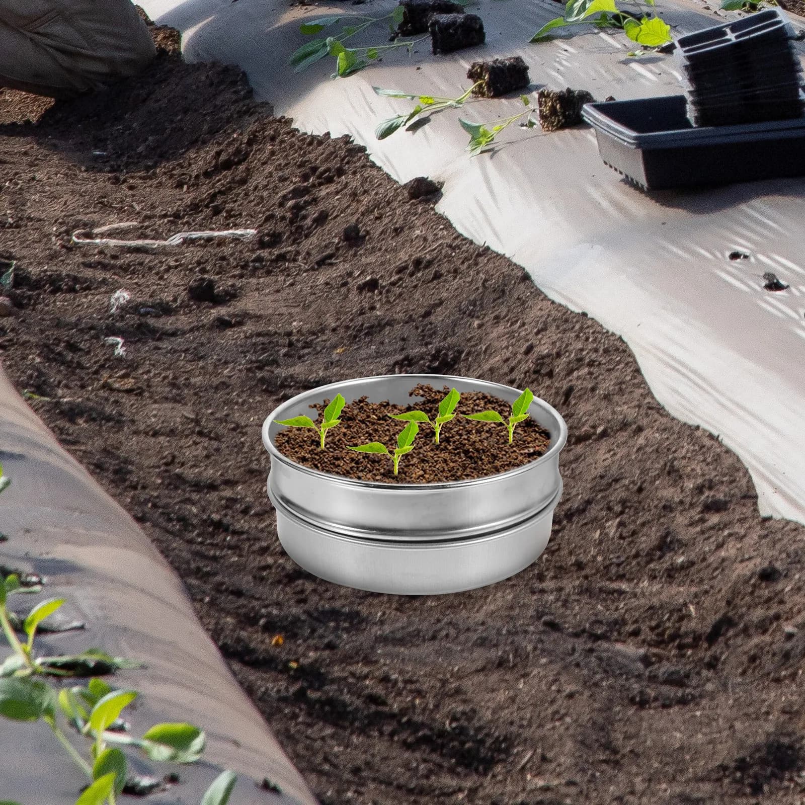 Set di Vassoi in Acciaio Inox per Coltivazione, Resistenti, per Fiori, Verdure, Semina e Trapianto, per Giardinaggio