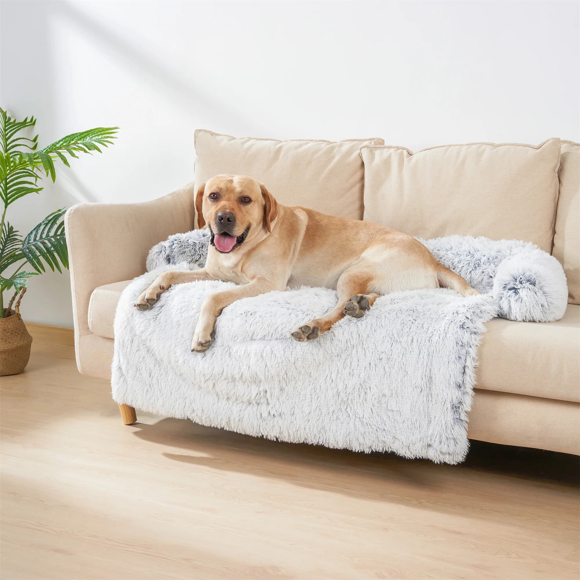 Divano letto per cani da compagnia per cani Letto calmante per animali domestici Nido caldo Lavabile Morbido Tappetino protettivo per mobili Coperta per gatti Divano letto per cani di grandi dimensioni