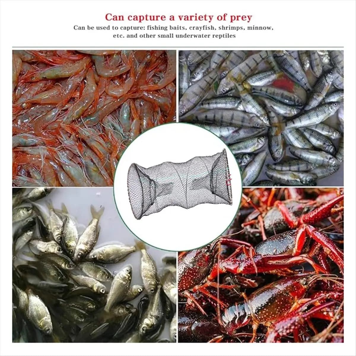 (ABHW) Rete da Pesca Telescopica 80x40CM, Rete Pieghevole Portatile per Catturare Esche Vive, Gamberi, Gamberetti
