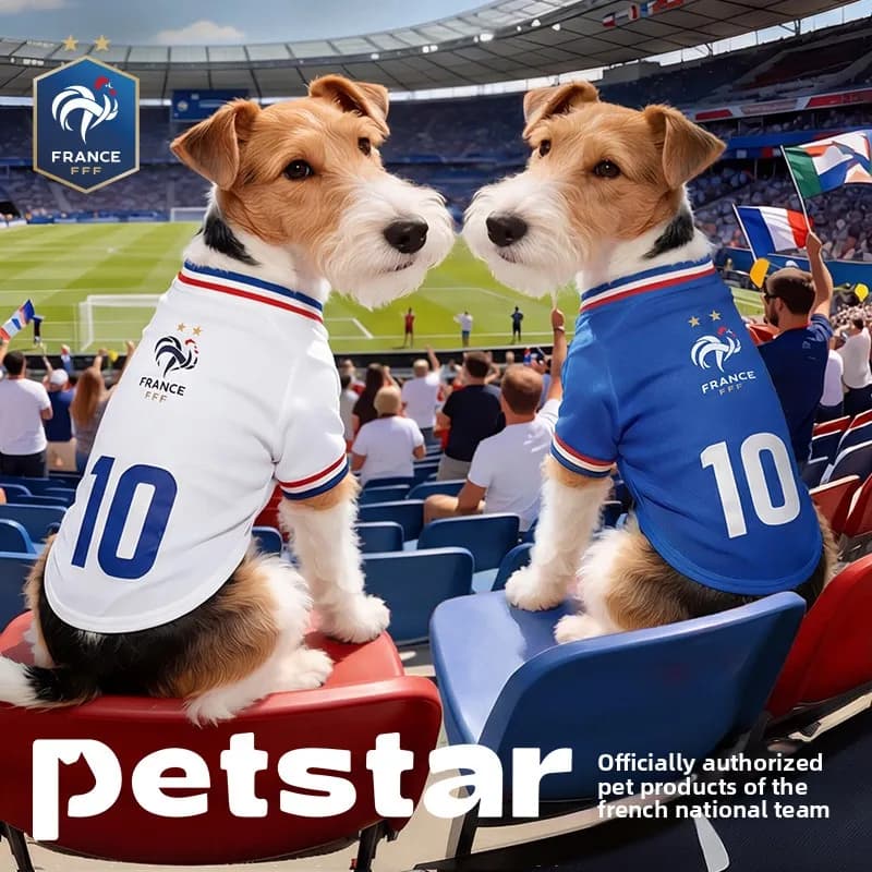 Maglia Traspirante in Rete per Cani e Gatti, Stile Squadra di Calcio Francese, Asciugatura Rapida, Sottile e Fresca, per Cuccioli