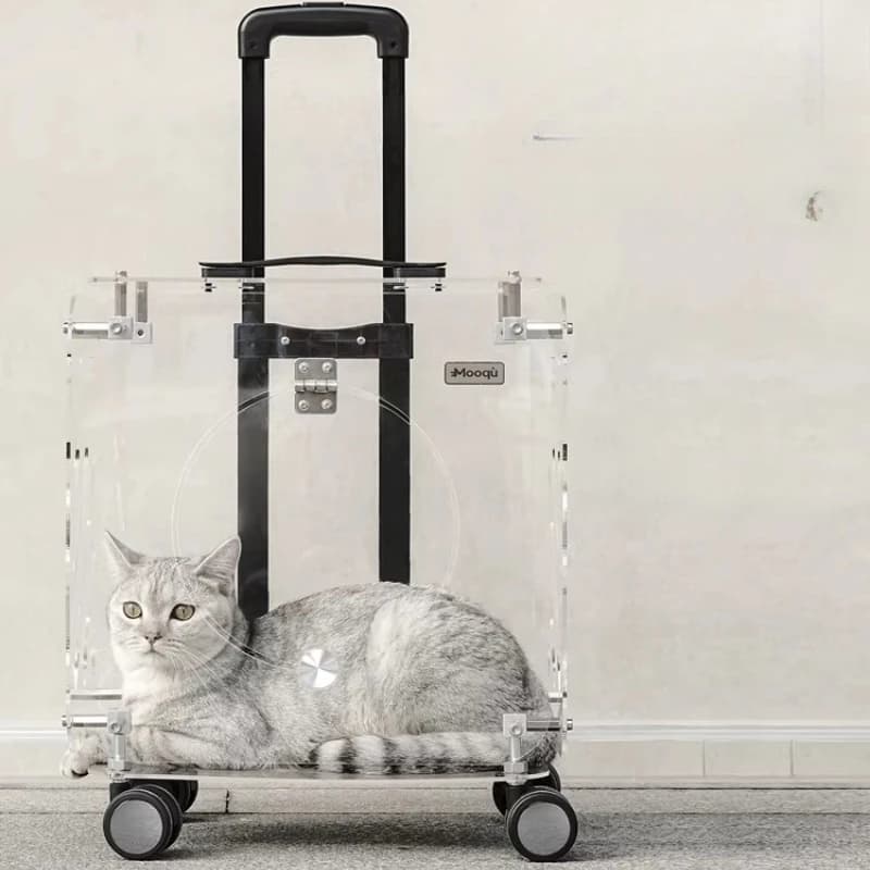 Trasportino Trolley per Animali Domestici, Borsa da Viaggio Portatile per Gatti e Cani, Grande Zaino Trasparente per Gatti per Uso Esterno