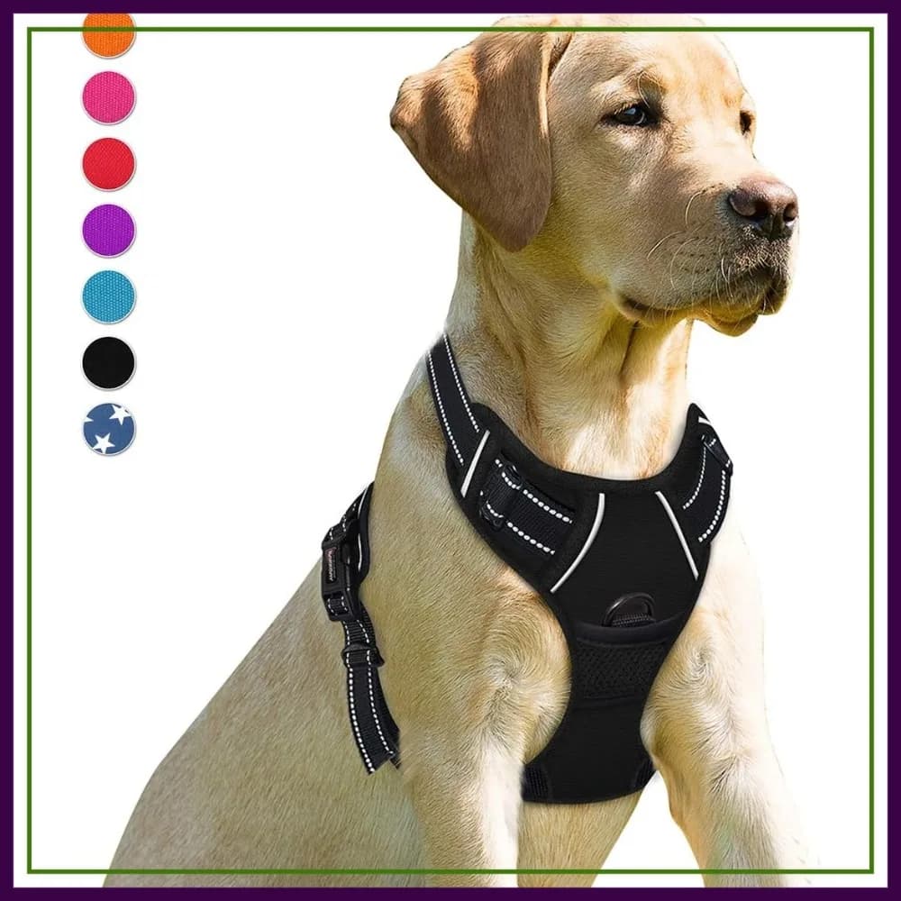 No Pull Dog Harness Front Clip Heavy Duty Reflective Easy Control Handle for Large Dog Walking, XL
