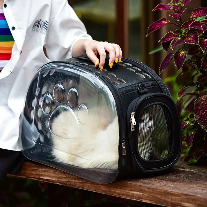 Zaino da viaggio pieghevole trasparente per animali domestici Borsa da viaggio per gatti Borsa da trasporto per animali domestici Borsa a tracolla per cani da compagnia Borsa portatile per gatti