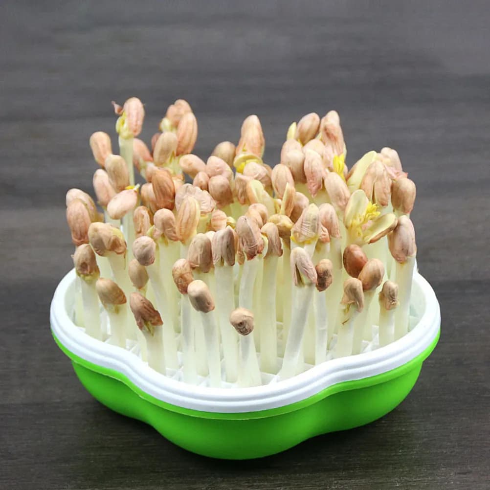 2Sets Germination Trays with Lids Small Propagator for Plant Seed Starting Vegetable Flower Nursery Compact Grow Tray Garden