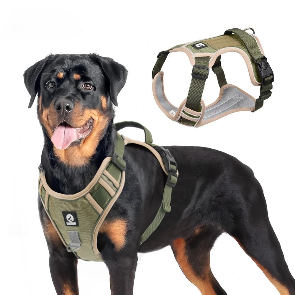 Collari per imbracatura per cani di grandi dimensioni Imbracatura anti-pull Guinzaglio per cani Guinzaglio per animali domestici Materiale durevole anti-fuga Facile da indossare Togliere
